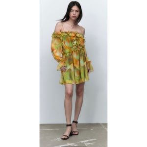 ZARA PRINTED TULLE DRESS. NWT